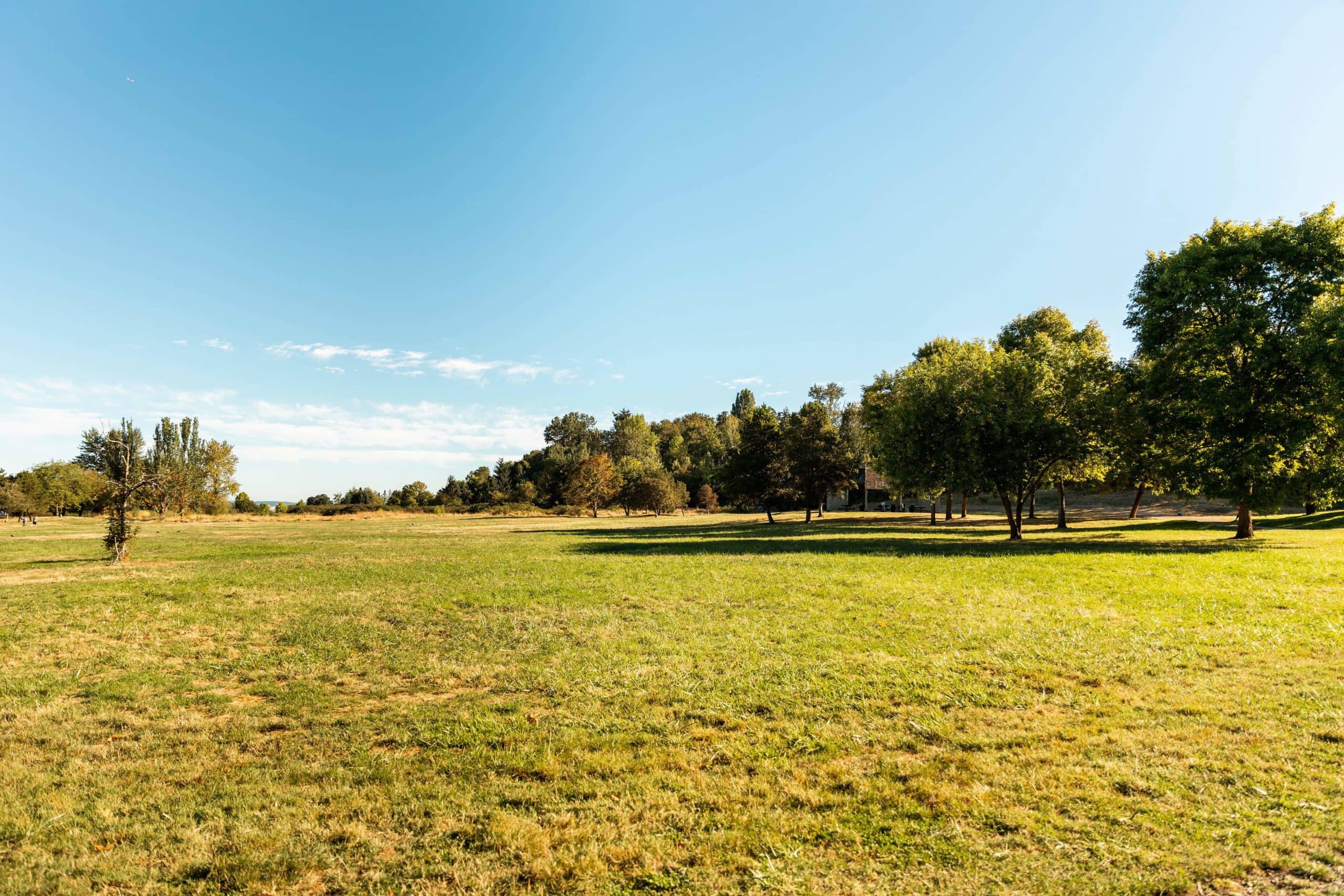 The Fascinating History of Genesee Park & Playfield in South Seattle - Get  Happy at Home