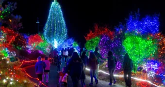 Where to see christmas lights in seattle get happy at home real estate