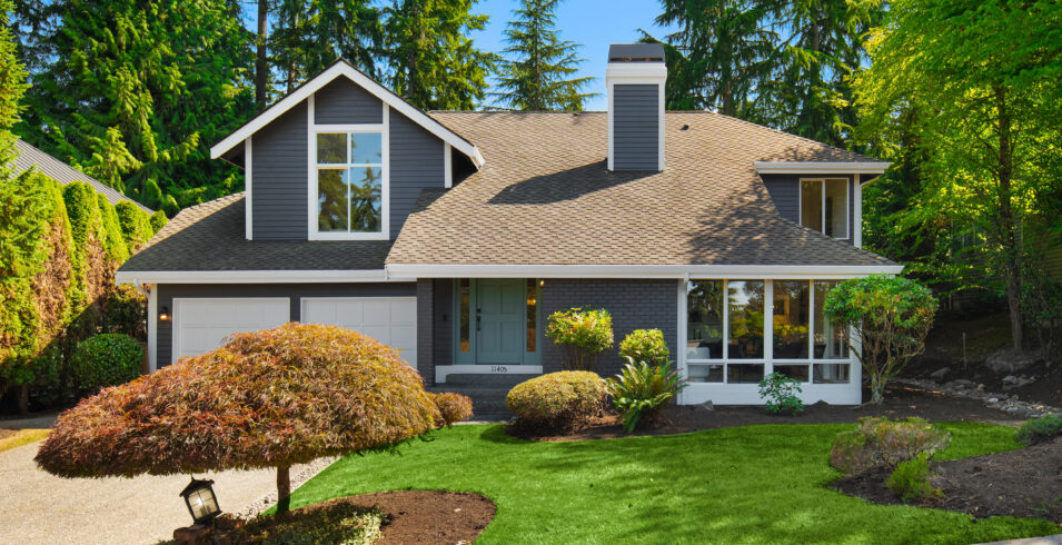 Front lawn of Highland Pointe Kirkland home showing white framed window wall and sculpted tree