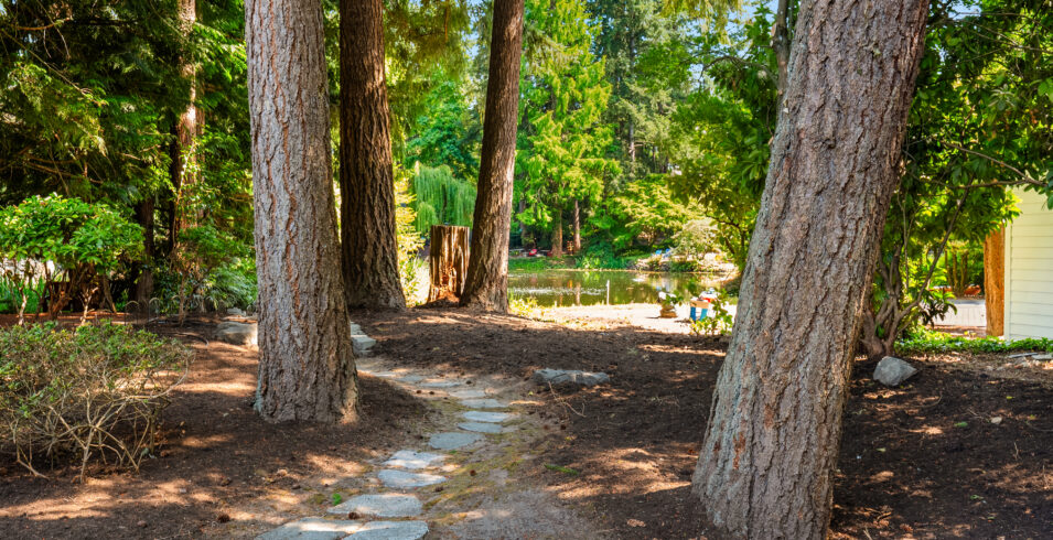 Stone path through evergreens leading toward community pond behind Kirkland Highlands home