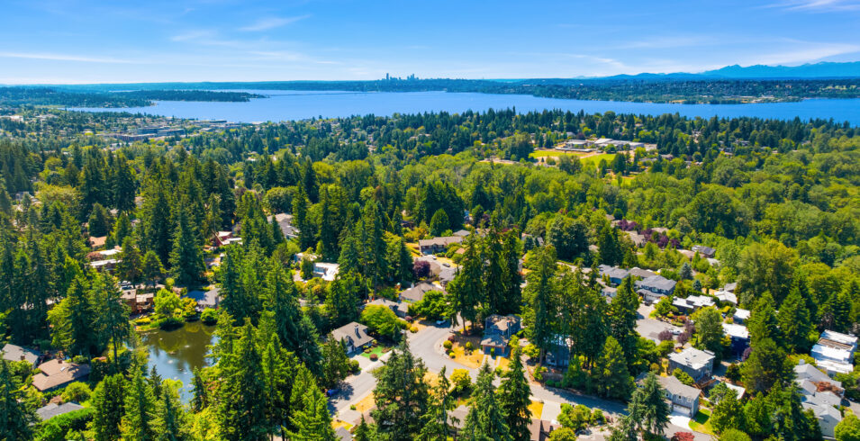 Aerial view of community pond with Lake Washington and Seattle skyline beyond