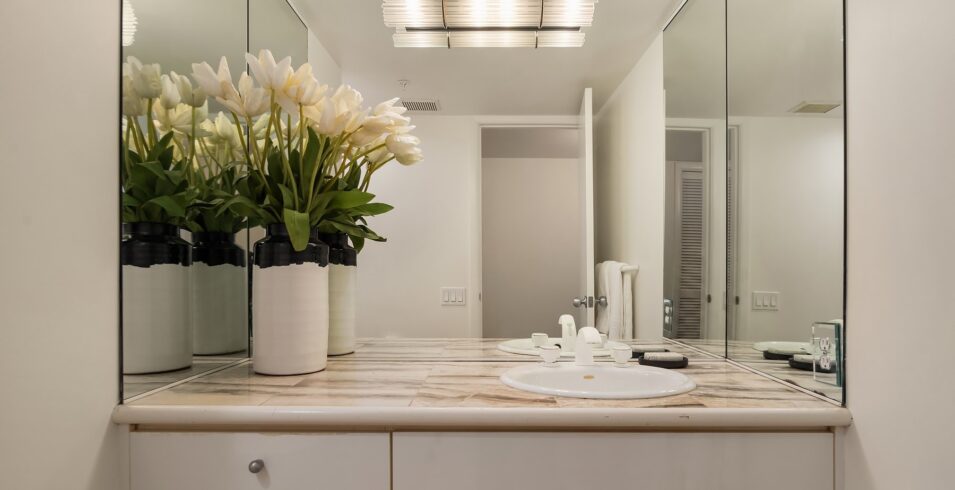 Double vanity
